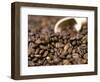 Fresh Coffee Beans Out of the Bag-Steven Morris-Framed Photographic Print