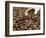 Fresh Coffee Beans Out of the Bag-Steven Morris-Framed Photographic Print