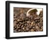 Fresh Coffee Beans Out of the Bag-Steven Morris-Framed Photographic Print