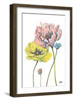 Fresh Colored Poppies I-Patricia Pinto-Framed Art Print