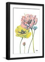 Fresh Colored Poppies I-Patricia Pinto-Framed Art Print