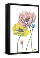 Fresh Colored Poppies I-Patricia Pinto-Framed Stretched Canvas