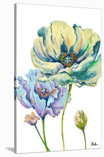 Fresh Colored Poppies II-Patricia Pinto-Stretched Canvas