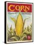 Fresh Corn-K. Tobin-Framed Stretched Canvas