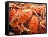 Fresh Crab in Pike Street Market, Seattle, Washington, USA-Janis Miglavs-Framed Stretched Canvas