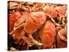 Fresh Crab in Pike Street Market, Seattle, Washington, USA-Janis Miglavs-Stretched Canvas