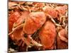 Fresh Crab in Pike Street Market, Seattle, Washington, USA-Janis Miglavs-Mounted Photographic Print