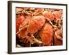 Fresh Crab in Pike Street Market, Seattle, Washington, USA-Janis Miglavs-Framed Photographic Print