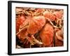 Fresh Crab in Pike Street Market, Seattle, Washington, USA-Janis Miglavs-Framed Photographic Print