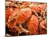 Fresh Crab in Pike Street Market, Seattle, Washington, USA-Janis Miglavs-Mounted Photographic Print