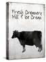 Fresh Creamery Milk & Ice Cream-Tina Lavoie-Stretched Canvas