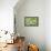 Fresh Cucumbers-Steve Gadomski-Framed Stretched Canvas displayed on a wall