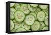 Fresh Cucumbers-Steve Gadomski-Framed Stretched Canvas