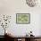 Fresh Cucumbers-Steve Gadomski-Framed Photographic Print displayed on a wall