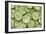 Fresh Cucumbers-Steve Gadomski-Framed Photographic Print