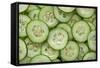 Fresh Cucumbers-Steve Gadomski-Framed Stretched Canvas