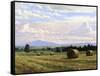 Fresh Cut Hay-Jay Moore-Framed Stretched Canvas