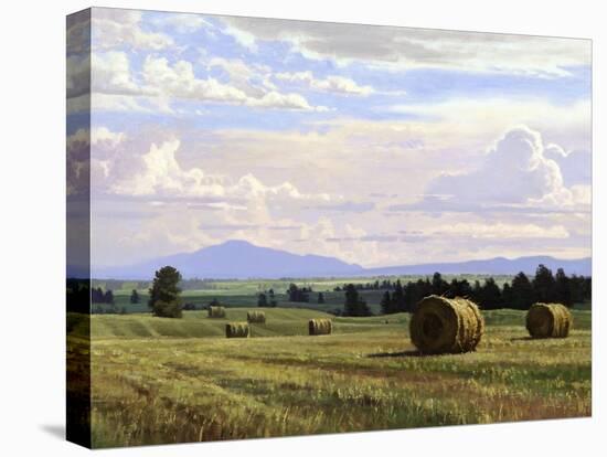 Fresh Cut Hay-Jay Moore-Stretched Canvas