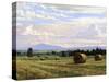 Fresh Cut Hay-Jay Moore-Stretched Canvas