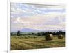 Fresh Cut Hay-Jay Moore-Framed Art Print