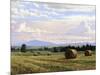 Fresh Cut Hay-Jay Moore-Mounted Art Print