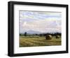 Fresh Cut Hay-Jay Moore-Framed Art Print