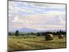 Fresh Cut Hay-Jay Moore-Mounted Art Print