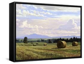 Fresh Cut Hay-Jay Moore-Framed Stretched Canvas