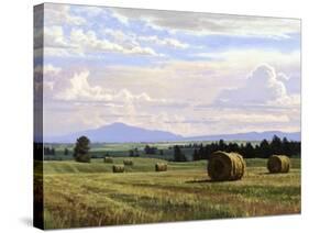 Fresh Cut Hay-Jay Moore-Stretched Canvas