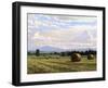 Fresh Cut Hay-Jay Moore-Framed Art Print