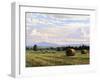 Fresh Cut Hay-Jay Moore-Framed Art Print