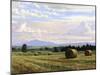 Fresh Cut Hay-Jay Moore-Mounted Art Print