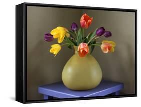 Fresh-Cut Tulips in Antique Glass Vase-Steve Terrill-Framed Stretched Canvas