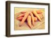 Fresh Ecologycal Carrots (Eco Food Concept)-B-D-S-Framed Photographic Print