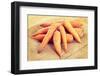 Fresh Ecologycal Carrots (Eco Food Concept)-B-D-S-Framed Photographic Print