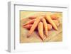 Fresh Ecologycal Carrots (Eco Food Concept)-B-D-S-Framed Photographic Print