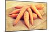 Fresh Ecologycal Carrots (Eco Food Concept)-B-D-S-Mounted Photographic Print