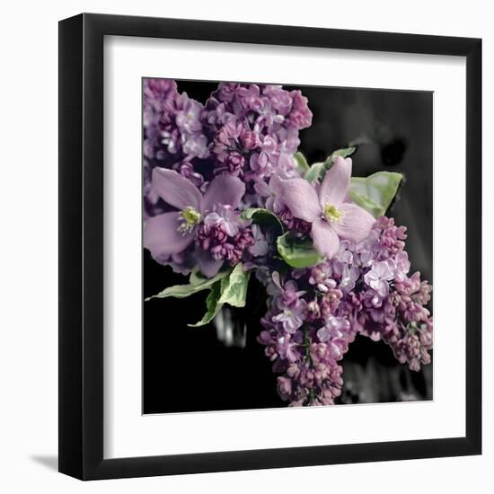 Fresh Evening Bloom-Sarah Gardner-Framed Art Print