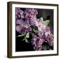 Fresh Evening Bloom-Sarah Gardner-Framed Art Print