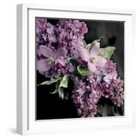 Fresh Evening Bloom-Sarah Gardner-Framed Art Print