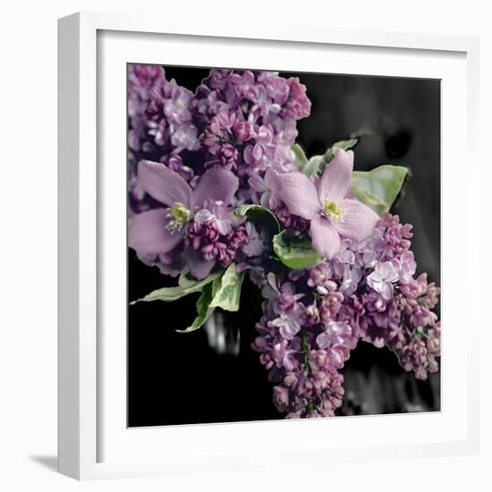 Fresh Evening Bloom-Sarah Gardner-Framed Art Print