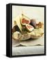 Fresh Figs and Cheese on Rustic White Bread-Ellen Silverman-Framed Stretched Canvas