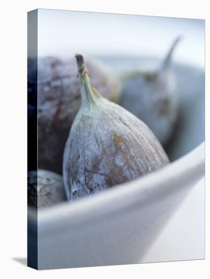 Fresh Figs in a Bowl-Petr Blaha-Stretched Canvas