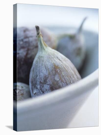 Fresh Figs in a Bowl-Petr Blaha-Stretched Canvas