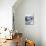 Fresh Figs in a Bowl-Petr Blaha-Mounted Photographic Print displayed on a wall