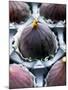 Fresh Figs in Paper Cases in Cardboard Packaging-Herbert Lehmann-Mounted Photographic Print