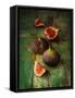 Fresh Figs on Green Vintage Wooden Table - Dark and Moody Still Life-Pinkyone-Framed Stretched Canvas