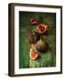 Fresh Figs on Green Vintage Wooden Table - Dark and Moody Still Life-Pinkyone-Framed Photographic Print