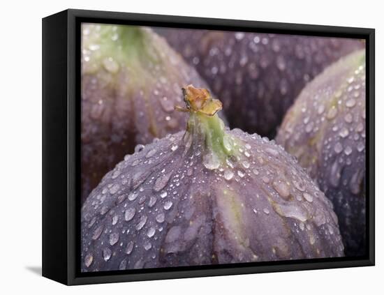 Fresh Figs with Drops of Water-Chris Schäfer-Framed Stretched Canvas