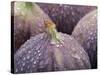 Fresh Figs with Drops of Water-Chris Schäfer-Stretched Canvas